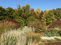 Herbststimmung im Britzer Garten